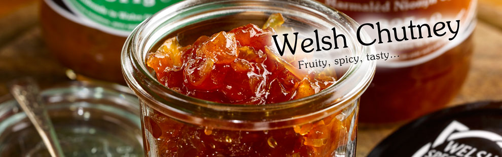 01.05.04 Welsh Chilli Chutney